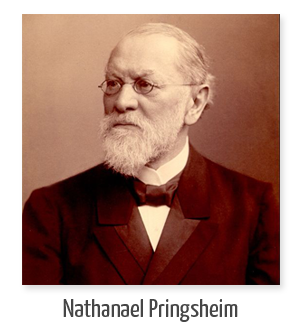 Exposición de células vegetales