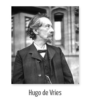 Se plantea que la membrana es un limite