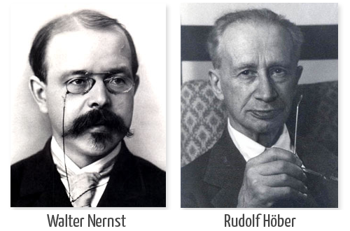 Propuesta de la Teoría del potencial iónico de la membrana.