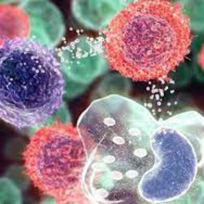 Timeline: Inflamación