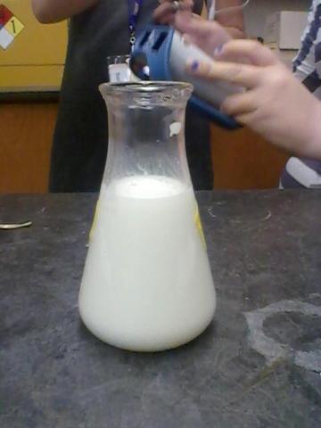 Day 2 of the experiment