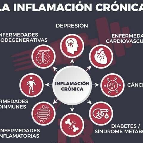 Otro tipo de células presentes