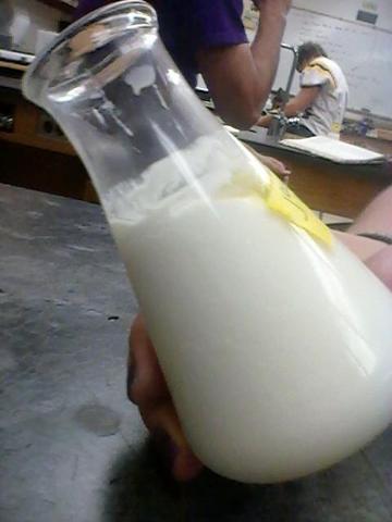 Day 3 of the experiment