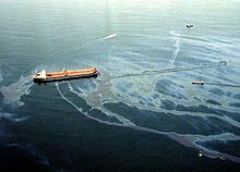 Biorremedación para eliminar diesel