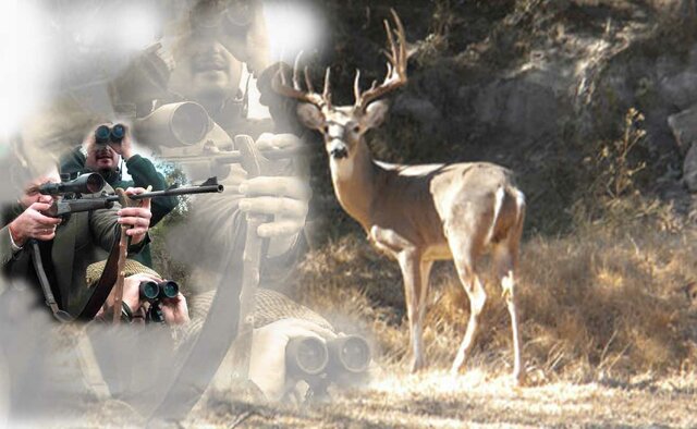 Publicación de la Ley Federal de Caza