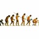 Evolucion imagen