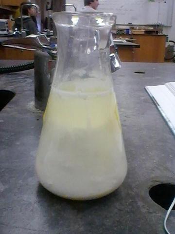 The final day of the experiment