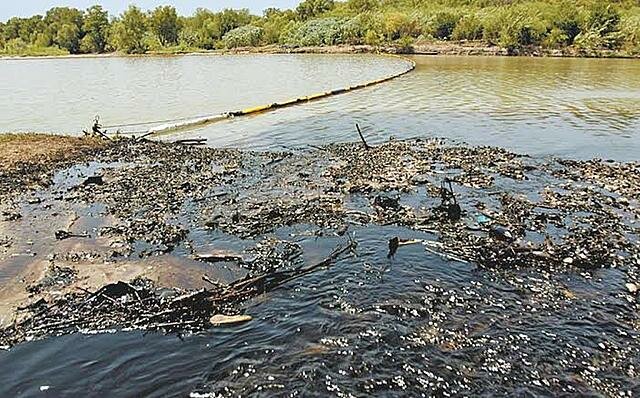 Biorremedación del accidente Fish Fry