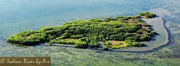 Pelican Island, Florida named first national wildlife refuge