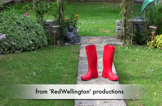 2nd Production company: decided to create 'RedWellingtons' film production company to log work for streetgrowers as it can have own twitter and blog