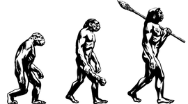 Timeline: Teorías pre-evolutivas