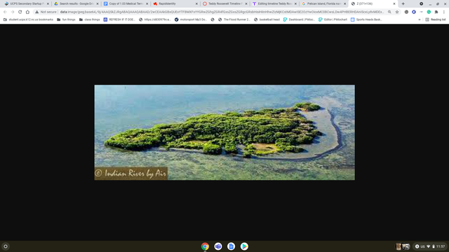 Pelican Island, Florida named first national wildlife refuge