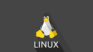 1991- Nacimiento de Linux