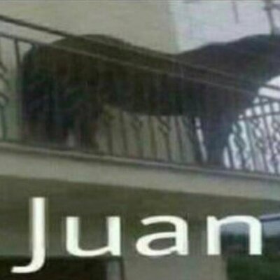 Timeline: Eje Cronológico SIIIIUUUUUU