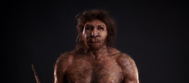 Homo Antecessor y Heidelbergensis