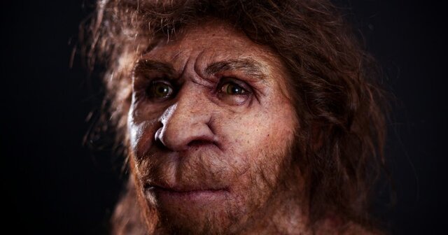 Homo Antecessor y Heidelbergensis