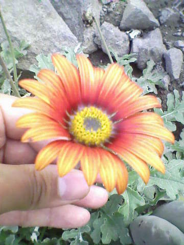 creo que estoy mejorando