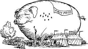 Fair happening for Wilbur