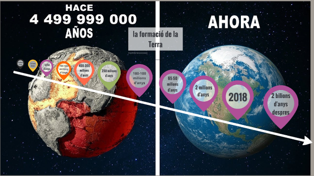 Fanerozoic: Paleozoic 540 MA - 230 MA