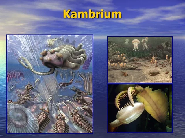 KAMBRIUM