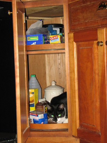 #1) Weenie cleans the house