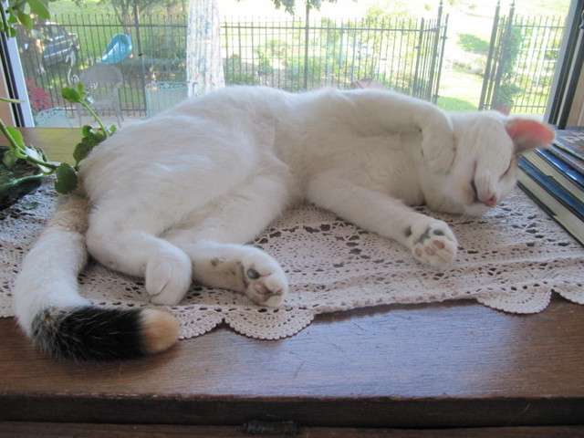 #4) Sleeping on the job