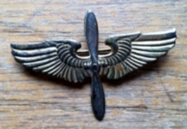 Calvin's First Solo Wings