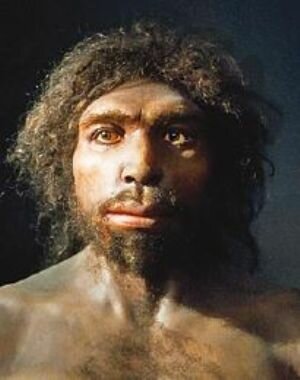 Homo antecessor