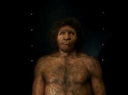 Homo neanderthalis