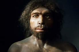 Homo Antecessor (encontrado en la gran Dolina de Atapuerca)