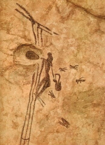 RECOLECCIÓN DE LA MIEL