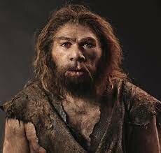 Homo neanderthalis.