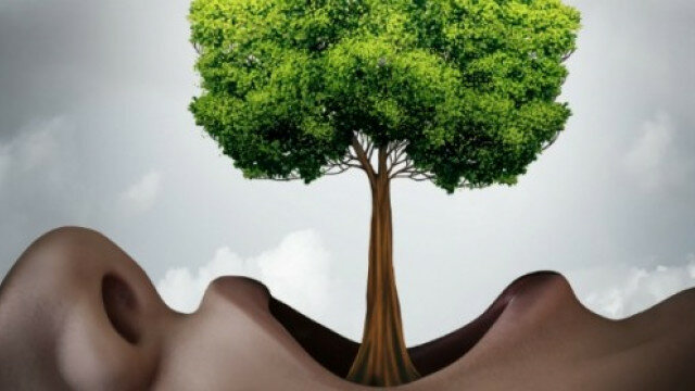 La lingüística moderna