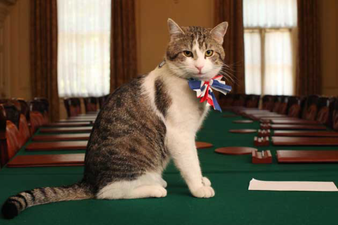 Chief Mouser to the Cabinet Office
