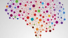 Timeline: Psicología Política