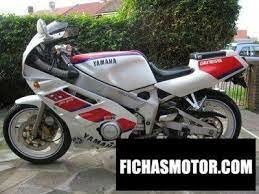 Trendy motorcycle on the 1989 Yamaha FZR 400