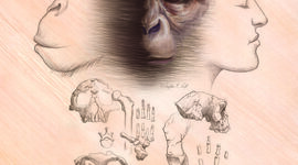 Timeline: Humanidad - RSHMA