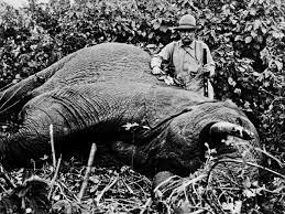 Teddy Roosevelt African Safari