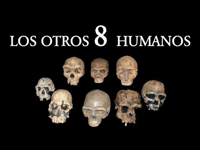 Especies de humanos