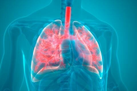 Raymond Chandler murió.