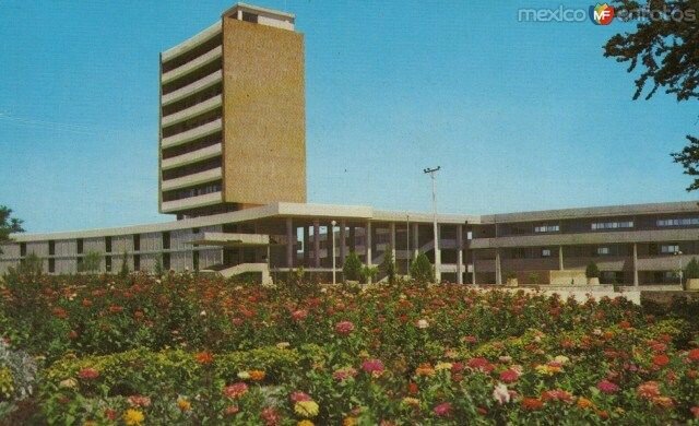 Fundación de la escuela de Arquitectura