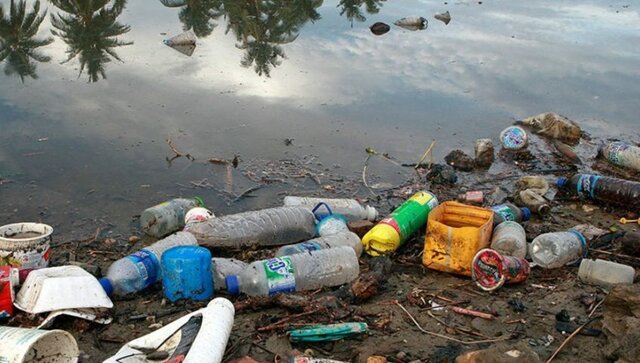 los problemas ambientales