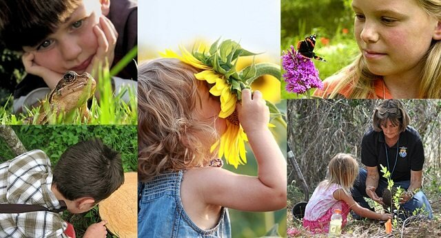 La educion ambienta y ciudadana