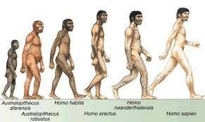 Hombre de Cromañón (Homo Sapiens Sapiens)