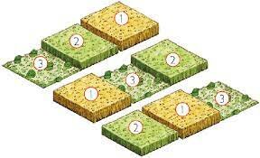 Rotación trienal en la agricultura