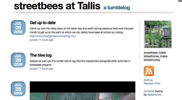 streetbees Tumblr : I created another Tumblr to log the hive inspections and streetbees projects on