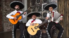 Timeline: World tour timeline