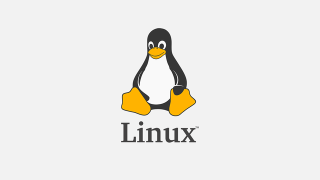 LINUX