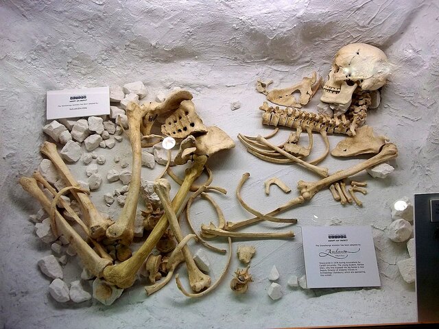 L’archer d’Amesbury, UK