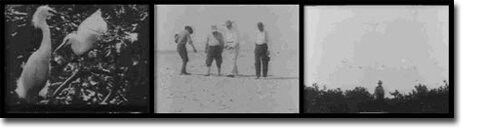 Pelican Island Wildlife Refugee